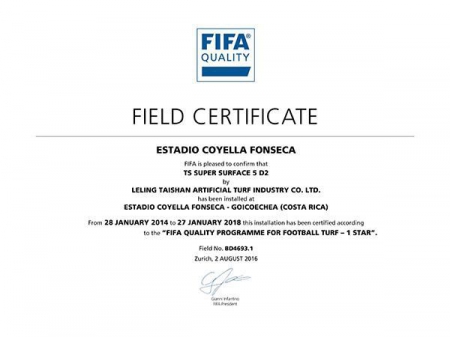 Césped artificial de fútbol y fútbol americano