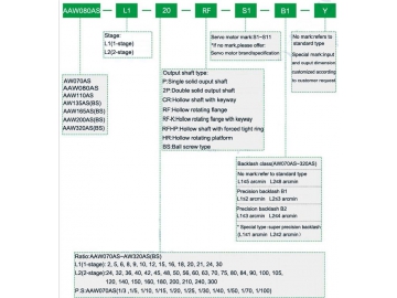 Reductor de velocidad de ángulo recto de precisión AAW-2P