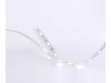 Tira LED decorativa para el hogar  10mm 12V D530