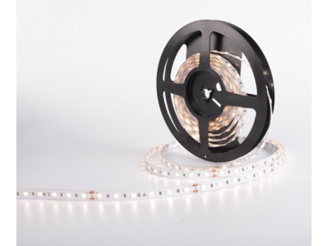 Tira LED flexible  10mm 12V D760