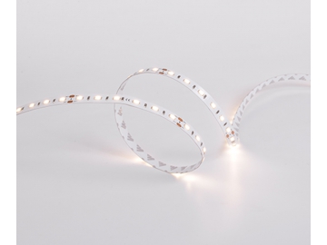 Tira LED flexible  10mm 24V D760