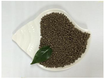 Granular seaweed Fertilizer