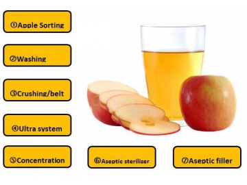 Línea de procesamiento de jugo concentrado de manzana