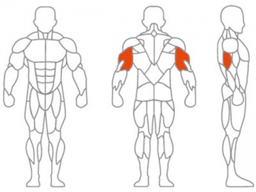 Máquina para estiramiento del músculo dorsal ancho