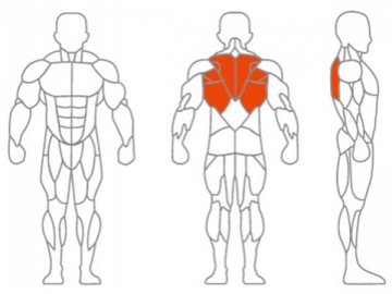 Máquina para estiramiento del músculo dorsal ancho