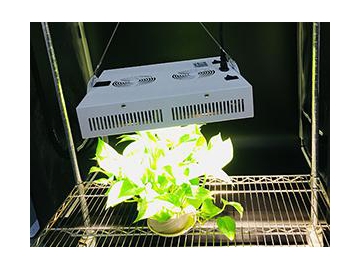 Luz LED blanca para cultivo