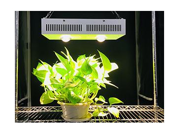Luz LED blanca para cultivo
