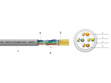 Cable Ethernet Cat 5e