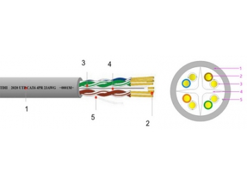 Cable Ethernet Cat 6