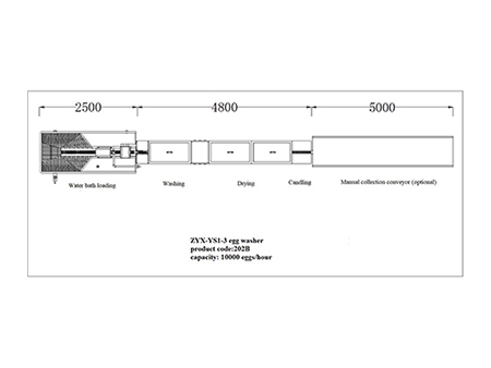 Lavadora de huevos 202B (10000 huevos/hora)