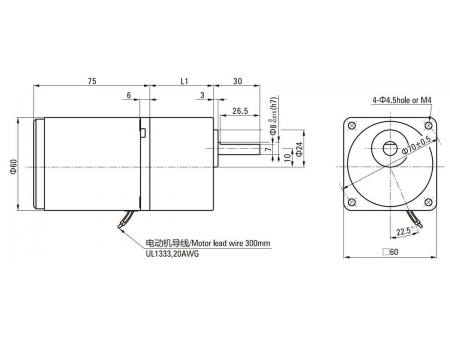 Motor reversible  60mm 6W