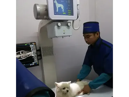 Equipo de Rayos X de Uso Veterinario, SHO-MAX