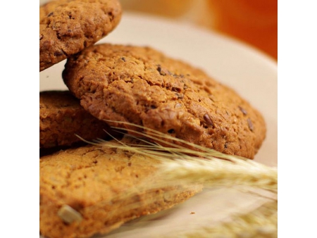 Moldeadora rotativa, KH-TSJ  Máquina formadora de masa blanda para galletas biscuit y galleta cookie