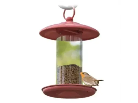Comederos para aves de vidrio