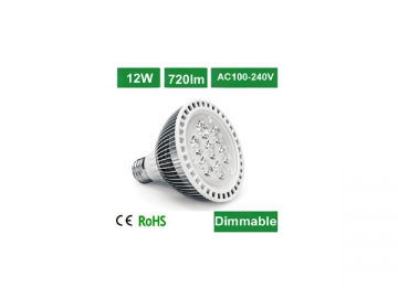 Foco LED de alta potencia 12 W PAR30