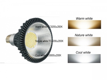 Foco LED de alta potencia 16W PAR383