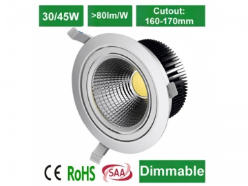 Luz empotrable LED COB DL40180