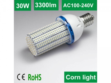 Bombillas de luz LED 30W C25 SMD 3528