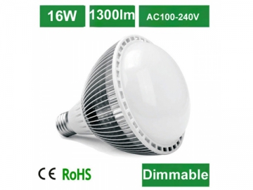 Bombilla LED 16W G09