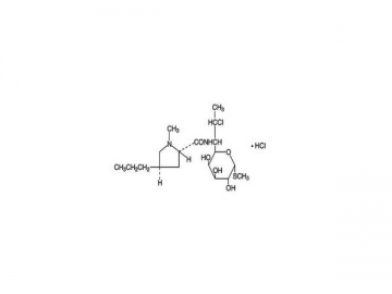 Clindamicina HCL