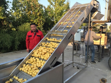 Línea de producción de patatas fritas congeladas