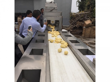 Línea de producción de patatas fritas congeladas