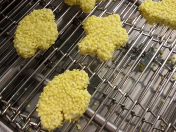 Producción de pepitas de pollo y hamburguesas