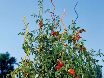 Alambre espiral para soporte de tomates